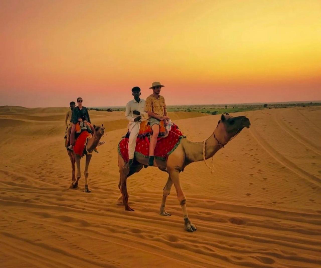 جيلسامر The Saffron Desert Camp المظهر الخارجي الصورة
