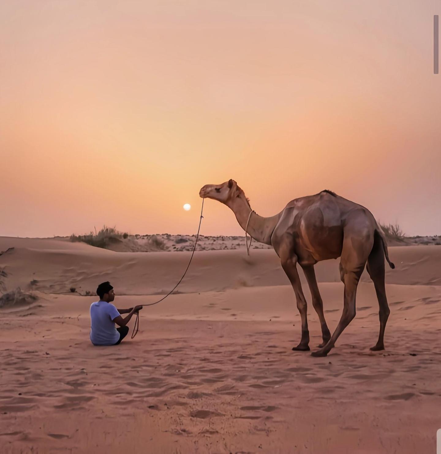 جيلسامر The Saffron Desert Camp المظهر الخارجي الصورة